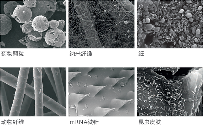 掃描電子顯微鏡下的材料科學(xué)